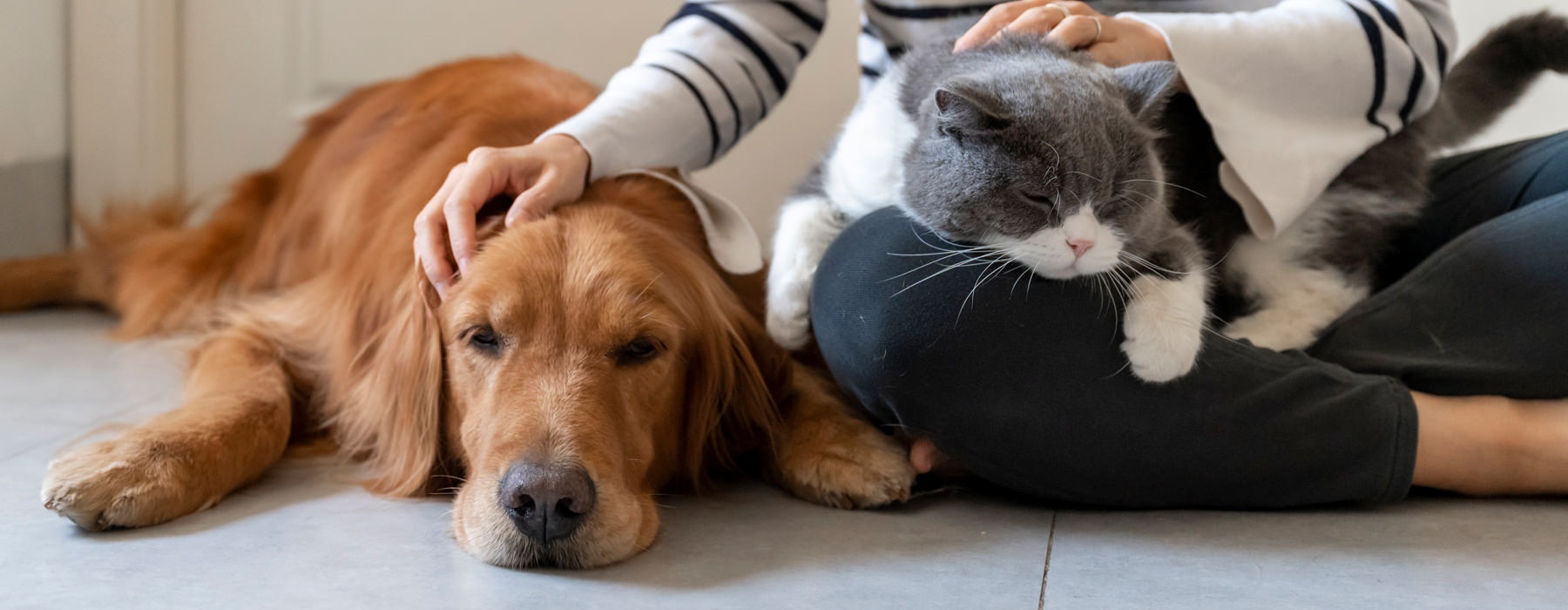 a person with her pets